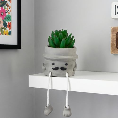 Cute Artificial Succulent Plant in Cement Pot with Hanging Legs, Mini Faux Succulent Decor for Kitchen Shelves, Bathroom Wall Shelf - Fake Small Plant for Home & Office Desktop, Shelf Accents - color: 1pcs-beard