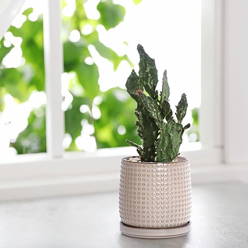 D'vine Dev 4 Inch Ceramic Beaded Stoneware Planter Pot - Flower Pot with Drainage Holes and Saucers for Indoor Succulent Plants or Flowers, Light Brown, 27-C-Z-4 - color: Light Brown, size: 4.3 Inch