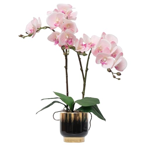 CXGS Orchids Artificial Flowers Real Touch Fake Flowers in Ceramic Pot 20" Pink Faux Orchid Plant Lifelike Silk Phalaenopsis for Centerpiece Hotel Home Indoor Decor - color: Pink- Black Gold Vase