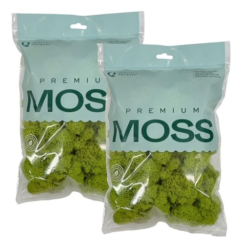Quality Growers - Preserved Reindeer Moss - Moss for Crafts, Home Decor, Art, Design & DIY Projects - Non-Toxic - USA Made (Chartreuse, Small, 2-Pack) - color: Chartreuse, size: Small (2-Pack)