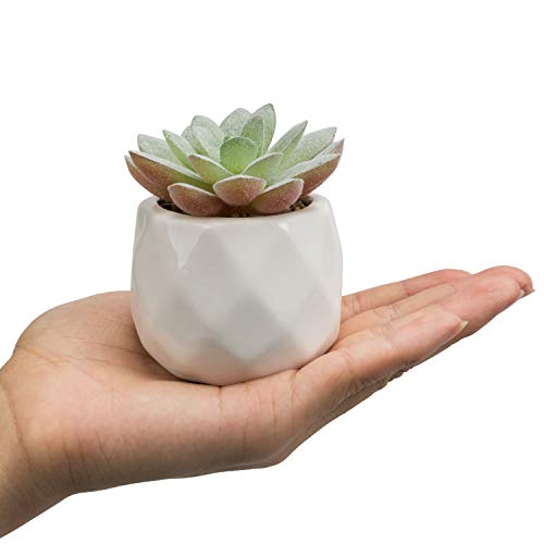 MyGift Mini Assorted Green Faux Succulent, Indoor Fake Plants in Geometric Ceramic Pots, Set of 6 - color: White (Set of 6)