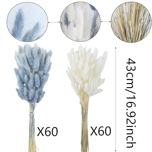 CISDUEO 120pcs Dried Bunny Tails Flowers Lagurus Ovatus Tail Dried Flowers Pampas Grass White and Gray Natural Dried Floral Arrangement for Boho Decor Home Wedding DIY Farmhouse Table Christmas (17") - color: White and Grey