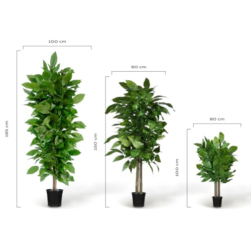BLAINE | Mango Tree 5 FT| Decorative Artificial Plants | Large Artificial Plant | Artificial Plants for Indoor/Outdoor use | Realistic Decorative Artificial Plant for Home - size: 5 FT
