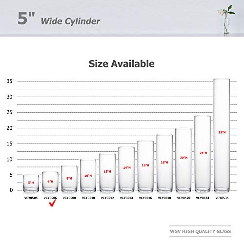 WGV Cylinder Vase, Diameter 5", Height 6", Clear Glass Floral Planter Container, Floating Candle Holder for Wedding Party Event Home Office Decor, 1 Piece - size: 5"x6"H CL