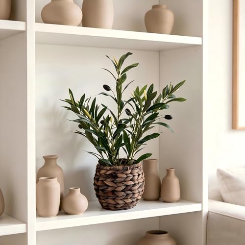 17.7" Small Boho Artificial Olive Plant, Faux Greenery in Brown Handwoven Rattan Basket, Ideal for Office Desk Kitchen Shelf Home Decor - color: Olive