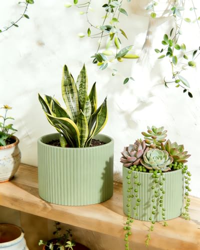Ceramic Plant Pots, 8.1 + 6 Inch Planters for Indoor Plants, Modern Flower Pot for Plant with Drainage, Medium Cylinder Flower Pots for Indoor/Outdoor, House Plants, Matte Green - color: Matte Green