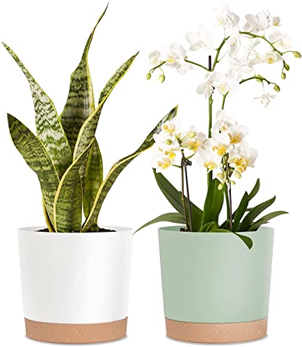 kubvici 8'' Plastic Flower Planter Pots Set of 2 Indoor Outdoor Planters with Drainage Saucer for Garden Home (Green & White, 8 inch) - color: Green & White, size: 8 inch