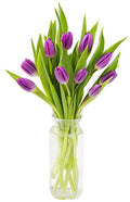 KaBloom-10 Purple Tulip Bouquet,Flowers for Valentine, Mother's Day