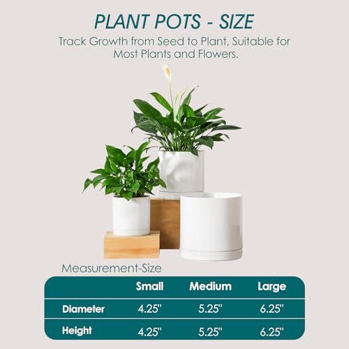 vancasso Ceramic Planters, Plant Pots for Indoor Plants, 6.25+8.25+10.25 Inch Ceramic Pots for Plants, Flower Pots with Drainage Holes, Planters Pot for Indoor House Plant, Set of 3, White - color: White, size: 6.25 + 8.25 + 10.25 Inch