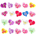 GSHLLO 30 Pcs Artificial Orchid Flower Heads Faux Orchid Petals Fake Phalaenopsis Orchids Artificial Butterfly Flowers Craft Fabric Flowers for Wedding Bouquet Multi