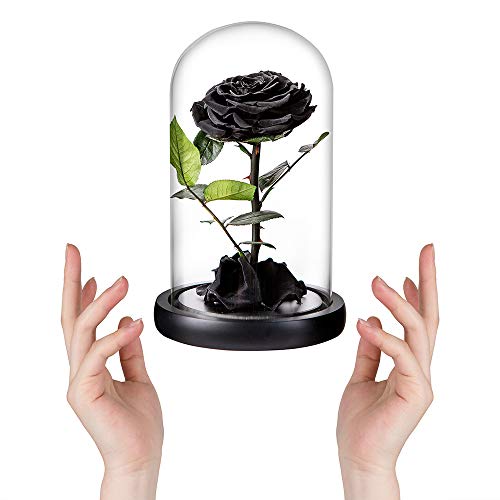 Preserved Roses Black Roses Handmade Real Rose in Glass Dome, Preserved Roses Never Withered Romantic Gifts for Her, Mother's Day, Birthday Gifts for Women (9 inch, Black) - color: Black, size: Large