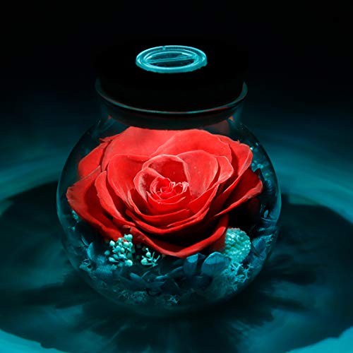 Preserved Real Roses with Colorful Mood Light Wishing Bottle, Eternal Rose，Never Withered Flowers, Table Decor,Christmas Anniversary Valentine's, Red 4.3inch, 1pcs - color: Red