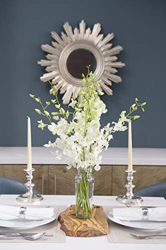 KaBloom - Exotic Perla White Orchid Bouquet of White Orchids from Thailand - Fresh Flowers for Birthday, Valentine's & Mother's Day