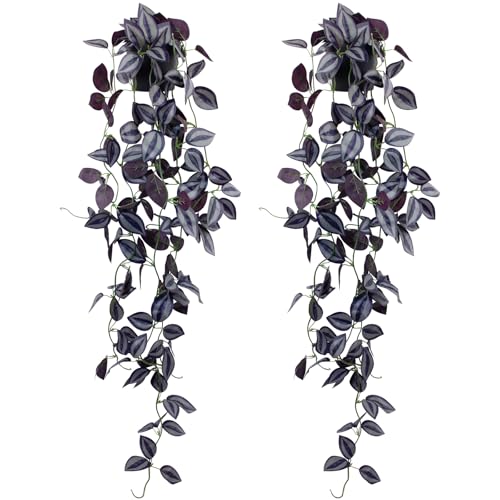 LOYWREE 2Pack Small Fake Hanging Purple Plant Artificial Potted Plants Indoor 39-in Long Faux Dark Black Vine Plant for Shelf Home Office and Outdoor Garden Decor (Black Pot) - color: Eyebrow, size: 2Pack