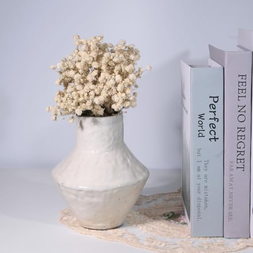 Dried Baby's Breath Bouquet, Pure White 6"-7.8" Portable Mini Gypsophila Flowers, 2000+ Natural Preserved Flowers for Wedding Home Decor DIY Crafts Vase Filler Wreath Card Making - color: White