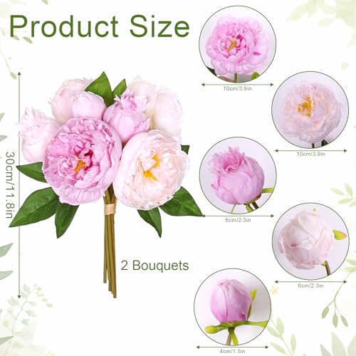TOCHGREEN Artificial Peonies Silk Flowers 2 Bouquets 14 Heads Vintage Faux Peony with Stems for Home Wedding Table Decor Bridal Bouquet Floral Arrangement - color: Purple
