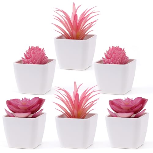 Woration 6Pcs Mini Artificial Succulent Plants Fake Plastic Succulents Potted for Garden Office Home Desk Decorations Floral Arrangement Craft- White Pots - color: Décor 3