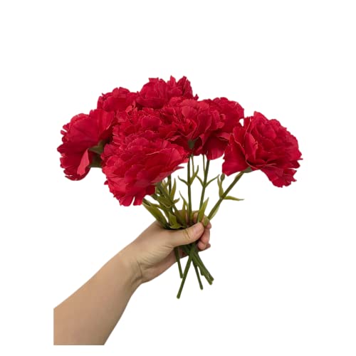 Rikyo 11 Inch Bouquets 10 Stem Red Carnations,Outdoor UV Resistant No Fade Artificial Flower,Mini Carnation Silk Petals Fake Flowers Forever Plants for Photo Props Home Party and Wedding Decor - color: Red-10