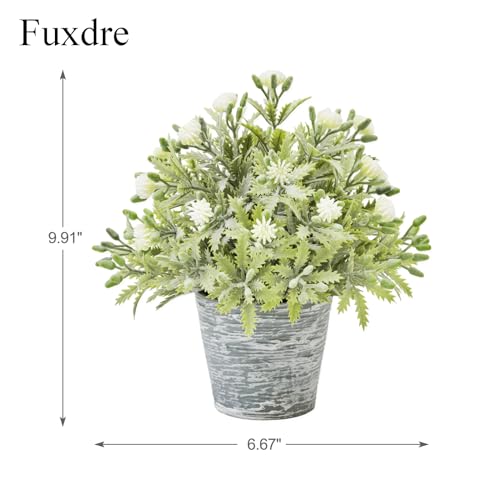 2 Pack Small Desk Plants, Artificial Bathroom Plants Decor with Flower in Vintage Melamine Pots, Faux Plants Indoor for Shelf Decor in Home Office, and Spring Decor (Ivory White) - color: Ivory White