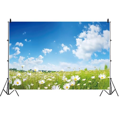 20x10ft Spring Backdrop for Photography Blue Sky White Clouds Daisy Flowers Wedding Themed Party Backdrop Flowers Field Natural Scenery Background Outdoor Garden Floral Blossom Video Props - size: 20x10ft