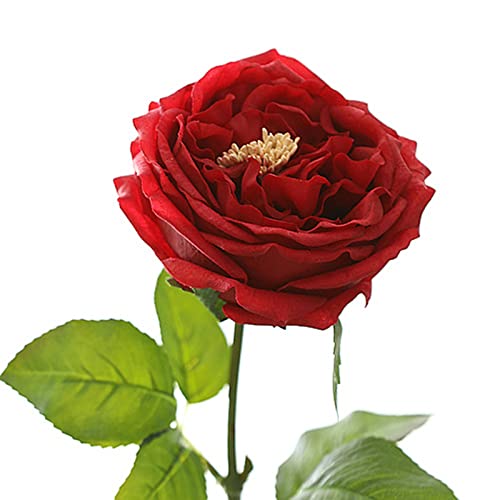 UKELER Red Roses 4 Pcs Real Touch Artificial Flowers Austin Rose Peony with Stem for Wedding Party Decoration Flower Arrangement - color: Red