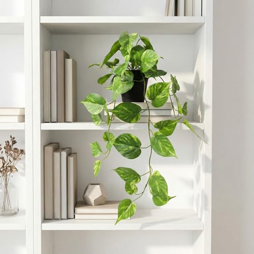 Fake Pothos Hanging Plants – Artificial Plastic Ivy Vines with Pots, Realistic Faux Greenery for Indoor Home Office Bathroom Shelf Cabinet Tabletop Decoration - color: Green