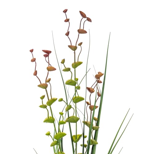 Vickerman 36" Everyday Artificial Green Grass and Eucalyptus Spray - 6 Pack - Faux Grass Plant Decor - Home Or Office Indoor Greenery Accent - Maintenance Free - size: 36"