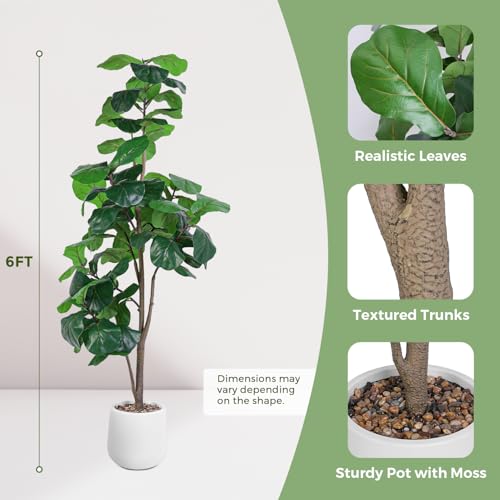 Jocoevol Artificial Fiddle Leaf Tree, 6ft Faux Plant Fake Ficus Lyrata Trees with White Planter - Perfect for House, Office, Living Room Indoor Home Decor, Ideal Housewarming Gift - color: 6ft, size: 6ft