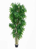 AMERIQUE Gorgeous & Unique 6 Feet Dense Bamboo Tree Artificial Plant with Nursery Plastic Pot, Real Touch Technology, with UV Protection, Super Quality, 6', Green