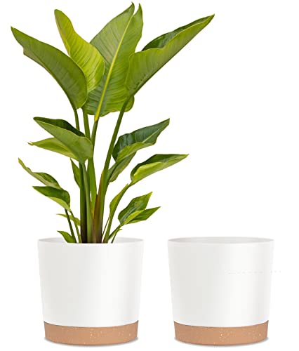 kubvici Plant Pots for Indoor Plants, 2 Pack 12 Inch Pots for Plants, Lightweight Large White Planters for Indoor Outdoor, Big Plastic Plant Pot Flower Pot with Drainage (12” White) - color: White, size: 12 Inch