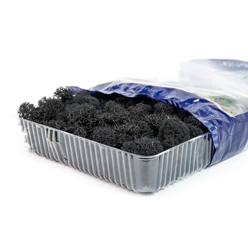 Super Moss (25123 Reindeer Moss Preserved, Black, 2oz - color: Black, size: 80.75 cubic inch (in3) Bag (Appx. 2oz)