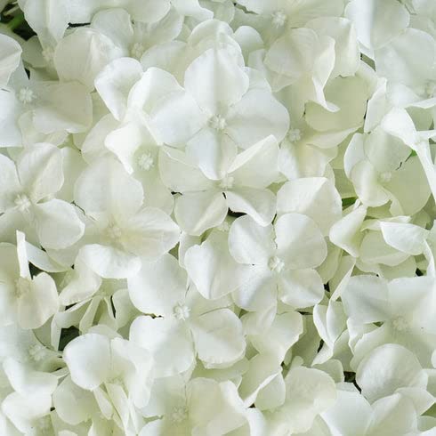 Tableclothsfactory 4 PCS Cream Silk Hydrangea Flower Mat Wall Wedding Event Decor for DIY Centerpieces Arrangements Party Decorations - color: Ivory