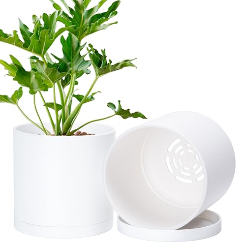 D'vine Dev 2 Pack 6 Inch Modern Plastic Plant Pots, Small Garden Planters for Plant with Drainage Holes and Saucers, White Color, 74-Z-J-1 - size: 6"