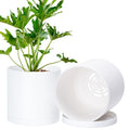 D'vine Dev 2 Pack 6 Inch Modern Plastic Plant Pots, Small Garden Planters for Plant with Drainage Holes and Saucers, White Color, 74-Z-J-1 - size: 6"