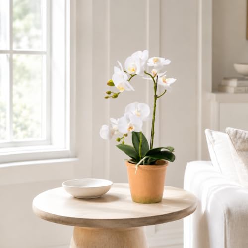 Avoeco Artificial Real Touch Orchid Plant – 15" Faux Phalaenopsis in Pot – Highly Realistic Silk Orchid Flower & Leaf Texture for Home, Office,Shop & Wedding Décor (1 White, 15“) - color: 1 White, size: 15“