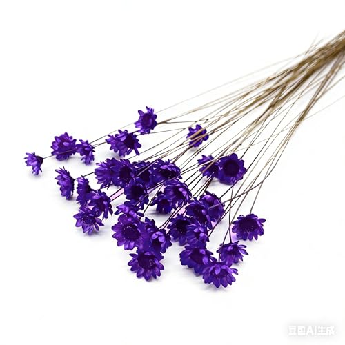 100 Stems Natural Dry Flowers Brazilian Small Star Daisy Decorative Dried Flowers Mini Daisy Chamomile Bouquet for Wedding Floral Arrangements Home Decorations (Purple) - color: Purple