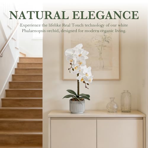 17.7" White Artificial Orchid Flowers in Ceramic Pot, Realistic Silk Phalaenopsis Arrangement with Stone, Waterproof Fake Orchid Plant for Bathroom, Home Office Table Top Centerpiece Decor(Orchid 2) - color: Orchid 2