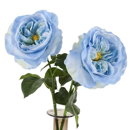 2Pcs Fake Austin Rose Peonies Flowers Real Touch Peach Roses with Stems 25.60'' Latex Peony Artificial Flowers for Home Decor Flower Arrangement Wedding Centerpieces (Blue) - color: Blue