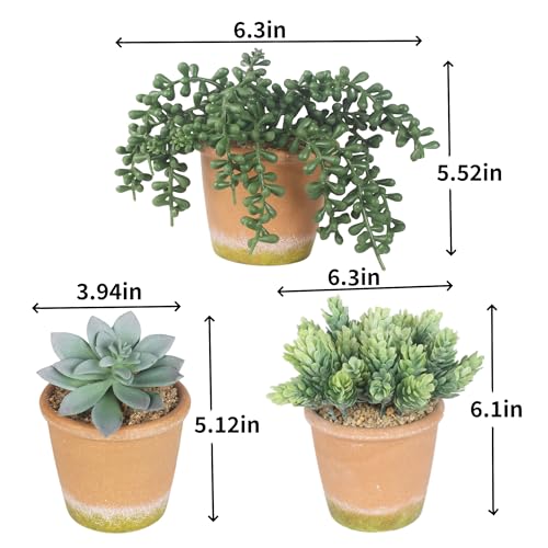 COTSEN 3 Pcs Artificial Succulent Plants Potted False Succulent Plants Potted Faux Potted Plant Family Office Bookshelf Decor