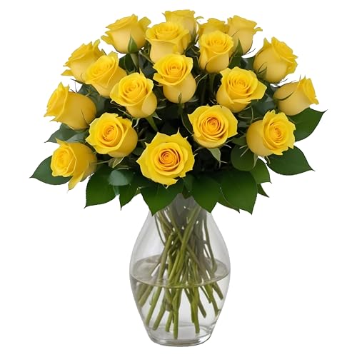 18 Yellow Roses with Vase | Arabella Bouquets | Real Fresh Flowers for Delivery, Gift for Birthday Women, Congratulations, Anniversary, Thank You, Mother's Day - color: Yellow, size: 18 Stems