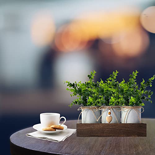 CALAVAK Decorative Centerpiece Wooden Tray with 3 Metal Potted Artificial Eucalyptus Rustic Country Home Décor for Dining Room, Living Room and Kitchen Table - style: Eucalyptus