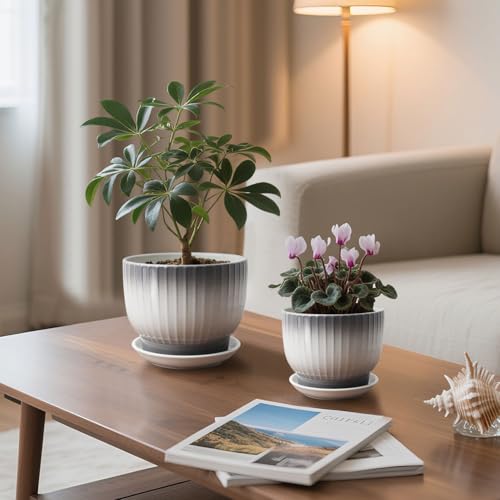 6.7 + 5.5 Inch Ceramic Plant Pots,Planters with Drainage and Saucer,Indoor Pots for Plants,Modern Flower Pots for Home and Office（Gray + White） - color: Gray + White