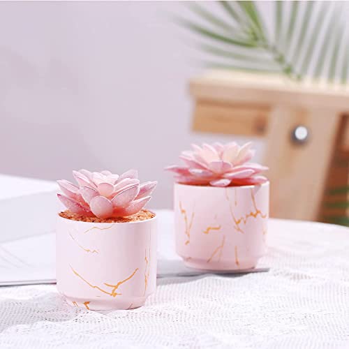 ZENIDA Succulent Artificial Plants,Cute Fake Succulents in 2 Pink Ceramic Pots,Small Fake Plants for Office,Table,Desk,Bathroom, Bedroom,Aesthetic Room Shelves Decor,Desk Decorations for Women Office - color: Pink
