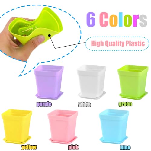 Haawooky 24 Pack Colorful Flower Pots Square Plastic Plant Pots Succulent Planter Nursery Pots with Saucers for Your Room,Garden Office and Balcony Decor - size: 24 pack