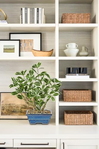 Fake Plants Small Artificial Plants Indoor 15.3" Fake Potted Plants Realistic Faux House Topiary Plants with Blue Ceramic Pot for Home Office Bathroom Kitchen Farmhouse Table Centerpieces Shelf Decor - color: White -Blue Pot