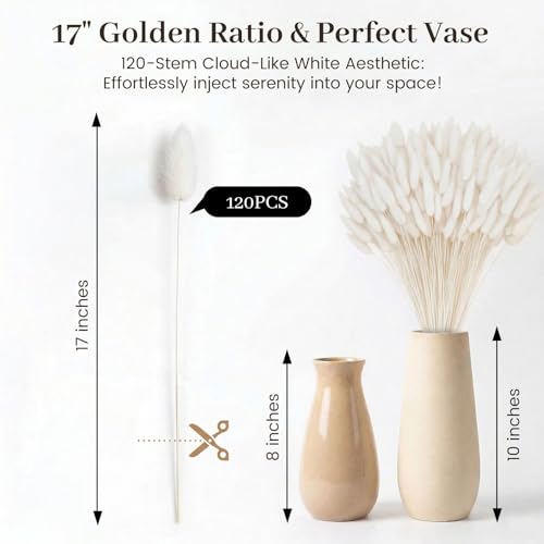 JOHOUSE 120PCS Dried Pampas Grass Decor, 17inch White Bunny Tails Dried Flowers, Bunny Tails Handpicked Bunch, Boho Flowers Home Table Decor, Wedding Decorations for Home
