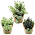 3 Pack Artificial Succulent Plants, Small Potted Fake Plants, Artificial Eucalyptus Leaf Aloe Vera Plants, for Home Decor, Farmhouse Bathroom Office Decor