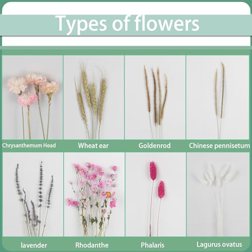 Dried Flowers Bouquet Dried Daisy Flower Natural Lavender Dry Flower Bunny Tails Pink Gerber Daisies Flowers Wheat Stalks Floral Stems Arrangements for Vase Table Centerpiece Decor Farmhouse - color: Pink, Natural