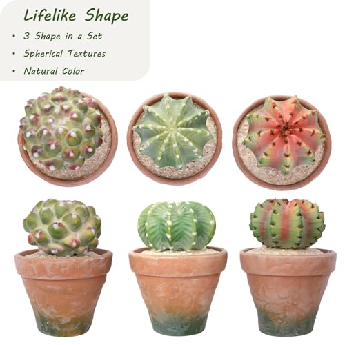 bellacat Fake Succulents with Warm White & Color Changing Lights, 7.7in Lifelike Artificial Succulent Plants, Faux Succulents Light Up Plants for Desk Shelf Living Room Bedroom Decor, Set of 3 Shape - color: Succulent C-5.1in Pot