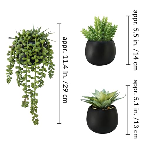 Winlyn Set of 3 Artificial Succulents Plants in Black Cement Planters Faux Potted Plants Aloe String of Pearls Donkey Tail Small House Plants 5" Tall for Table Shelf Home Office Bathroom Living Room - color: Black Cement Pots